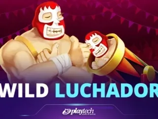 Wild Luchador game cover