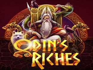 Odin's Riches game cover