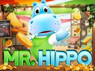 Mr. Hippo game cover
